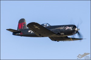 NZ6_3323